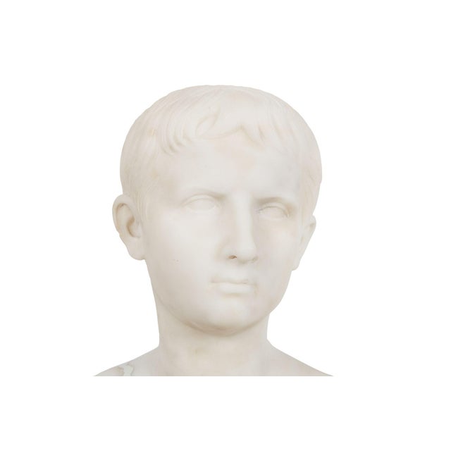 Grand Tour Antique Italian Carved Marble Bust of Young Caesar Augustus For Sale - Image 10 of 16