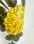 1970s Italian Hand-Painted Ceramic Sunflower Umbrella Stand For Sale In Little Rock - Image 6 of 9