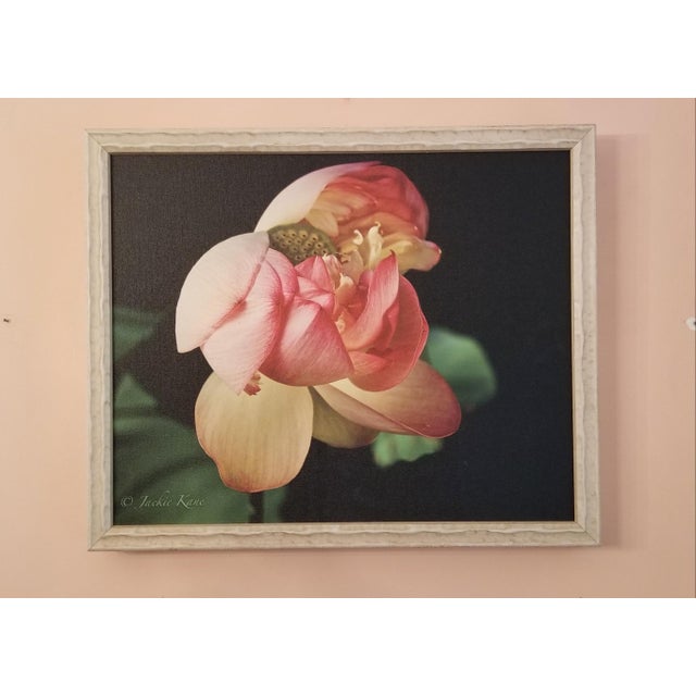 Textile "Golden Pink Lotus Flower" Contemporary Botanical Still Life Photograph by Jackie Kane, Framed For Sale - Image 7 of 7