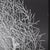 Contemporary Arbol Wall Art For Sale - Image 3 of 8