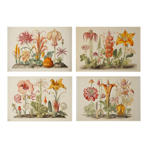 Set of 4 - 18" X 12.5 Botanical Prints 'Hortus Floridus' Style Flowers #3, Unframed