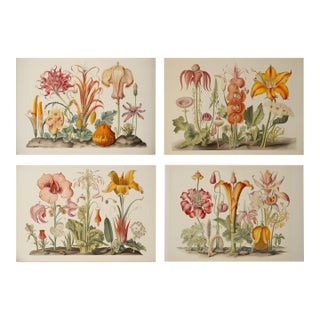 Set of 4 Botanical Prints — Hortus Floridus Style Flowers, Unframed For Sale