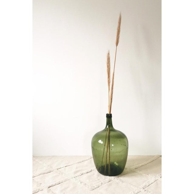 Mid-Century Modern Large Vintage Wine Balloon in Green Glass, Italy, 1950s For Sale - Image 3 of 6