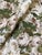 2020s Lee Jofa Maisie Linen - Tan/Leaf Fabric 2 Yards For Sale - Image 5 of 7