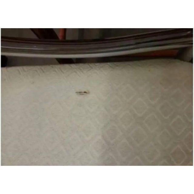 1960s Vintage 1960s Hollywood Regency Milo Baughman Style Chrome & Upholstered High Back Chair For Sale - Image 5 of 12