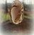 Vintage Dendritic Agate Sterling Silver Pendant Necklace For Sale In Cleveland - Image 6 of 7