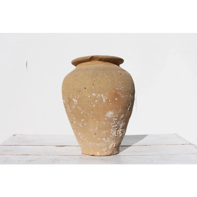 19th Century Antique Terracotta Octopus Trap Undersea Pot For Sale - Image 4 of 13