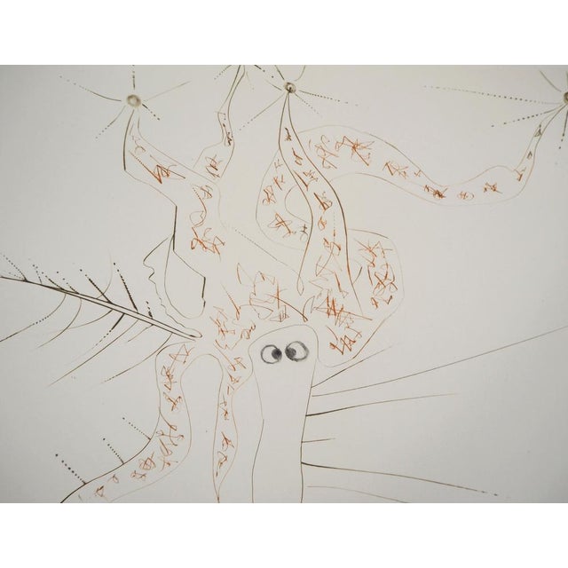 Salvador Dali, Tristan Le Fou, 1970, Original Etching For Sale - Image 5 of 8