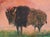 Monika Rossa, Bison, 2026, Oil on Canvas For Sale - Image 6 of 6