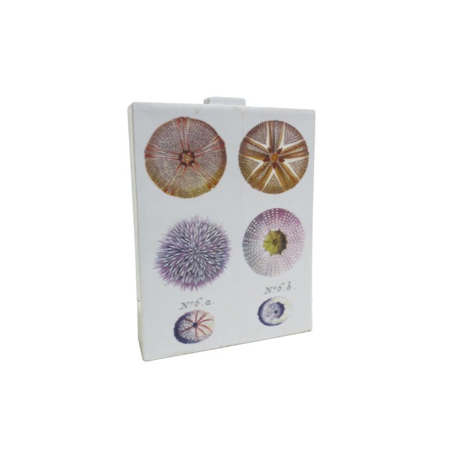 Realism Fabienne Jouvin Paris 2-Sided Porcelain Jar/Vase - A Study of Sea Urchins For Sale - Image 3 of 12