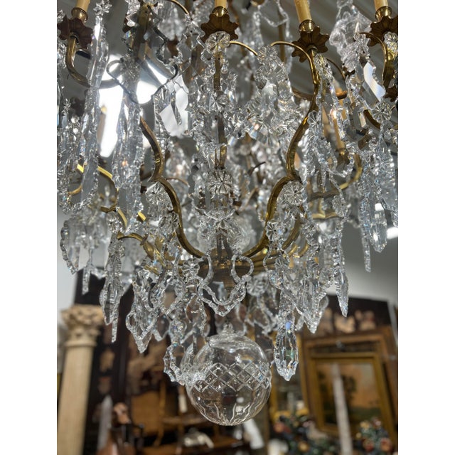 Palatial 19th Century French Louis XV Style Gilt Bronze and Crystal 16 ...