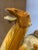 Mid-Century Modern Vintage Mid 20th Century Tang Style Sancai Glazed Ceramic Camel For Sale - Image 3 of 5