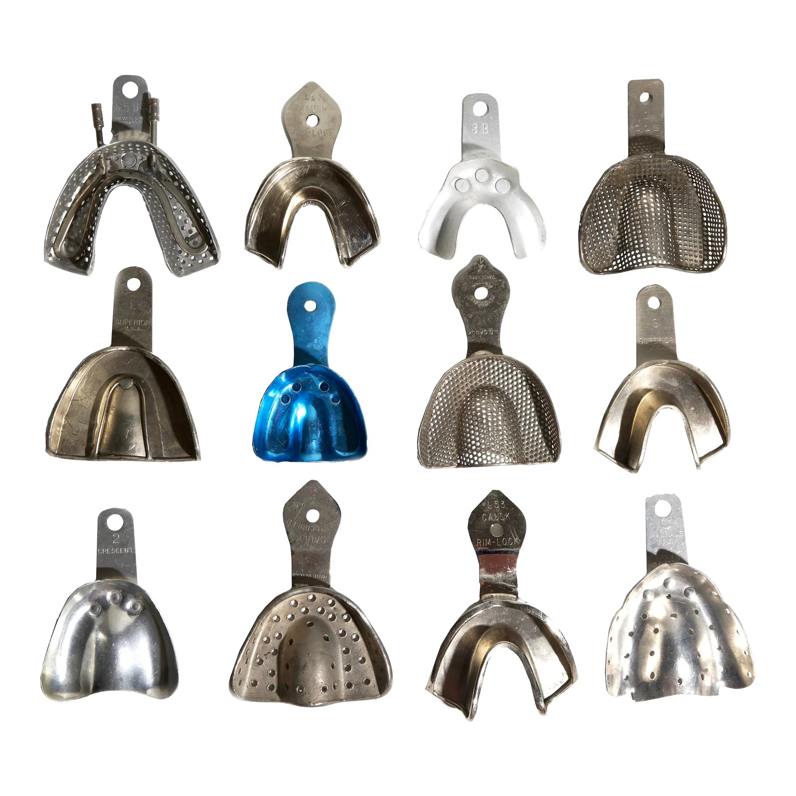 Dental Impression Molds Set of 12 Chairish