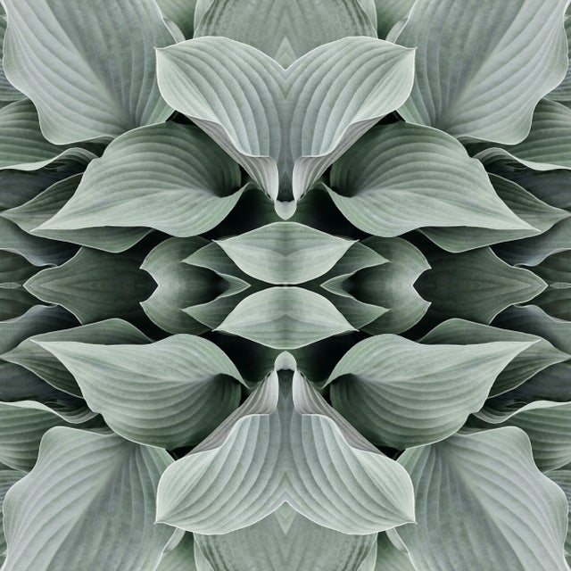 Not Yet Made - Made To Order "No. 89" Contemporary Botanical Photograph by Erin Derby, Framed For Sale - Image 5 of 7