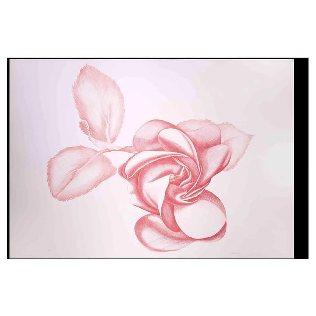 Giacomo Porzano, Red Rose, Original Etching, 1970s For Sale