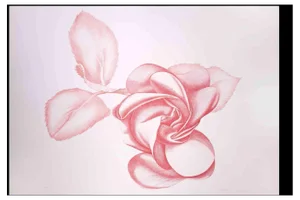 Giacomo Porzano, Red Rose, Original Etching, 1970s