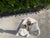 White Vintage John Dickinson Style Postmodern Draped Plaster Floor Lamp For Sale - Image 8 of 13