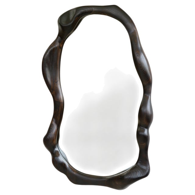 Organic Shaped Charred Red Oak Wall Mirror by Alexander Knysch For Sale - Image 10 of 10