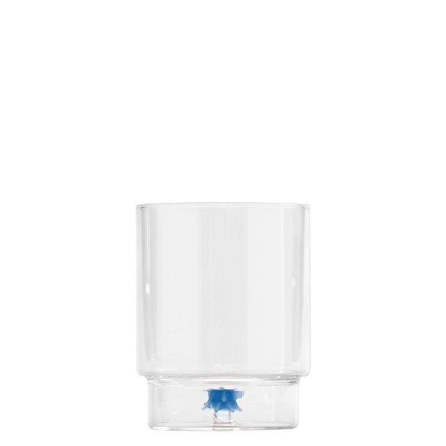 2020s Teca Mare Tumbler (set of 6) - Sea Urchin For Sale - Image 5 of 5