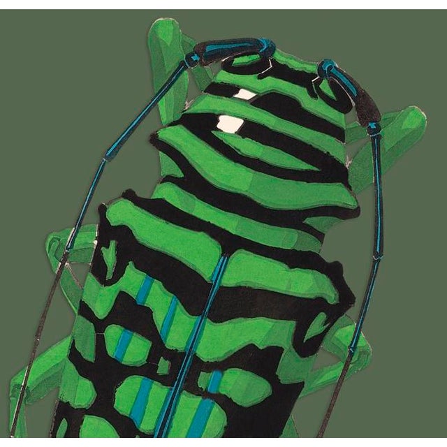The series was produced by CFA editions from original pochior prints by E.A. Seguy. The series of insects that Seguy...