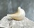 A refined Murano glass dove sculpture produced by Barovier & Toso, one of the most celebrated Venetian glassmakers of the...