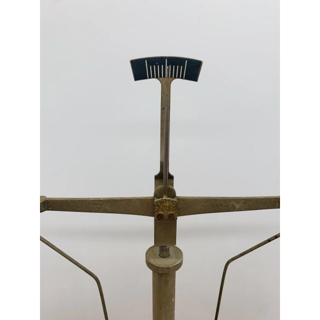 Precision Scales from Schula Goldschmied, 1940s, Set of 13 For Sale - Image 10 of 13