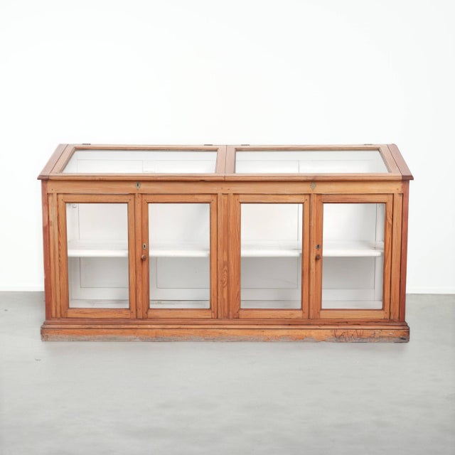 Large Vintage Museum Display Cabinet For Sale - Image 13 of 13