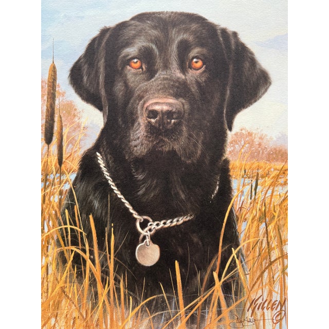 1990s 1990s Jim Killen Sporting Dog Art Great Retrievers Black Lab (20"x17") That's My Dog Open Edition For Sale - Image 5 of 5