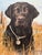 1990s 1990s Jim Killen Sporting Dog Art Great Retrievers Black Lab (20"x17") That's My Dog Open Edition For Sale - Image 5 of 5