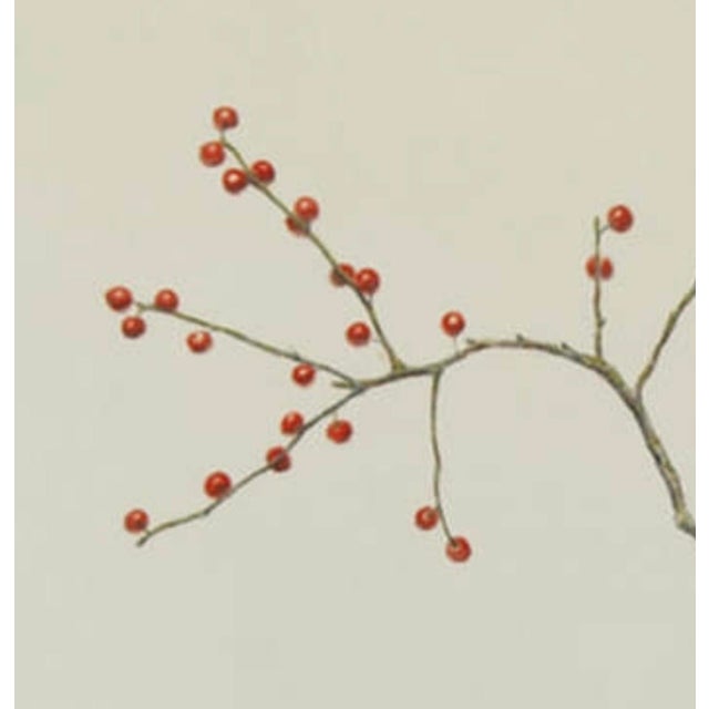 Scarlet Interval 19.5” x 25.5” Watercolor on Arches Paper This refined watercolor by Phil Courtney highlights the artist’s...