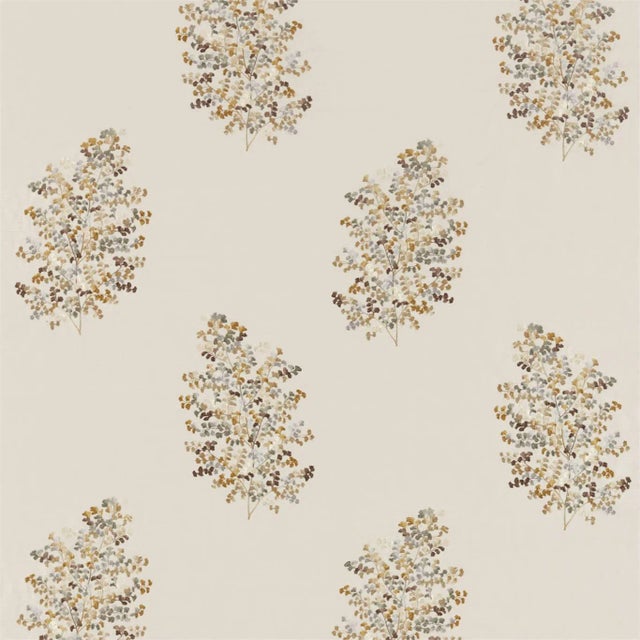 Sanderson Wendell Embroidery Fabric in Honey/Grey - a Sample For Sale