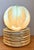 Ceramic Vintage Italian Botanical Ceramic Dinner Plates - Set of 12 For Sale - Image 7 of 15