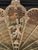 Large 44' wide folding traditional ornate fireplace fan with 9 vented fan spokes whose total area is about 12 square feet....