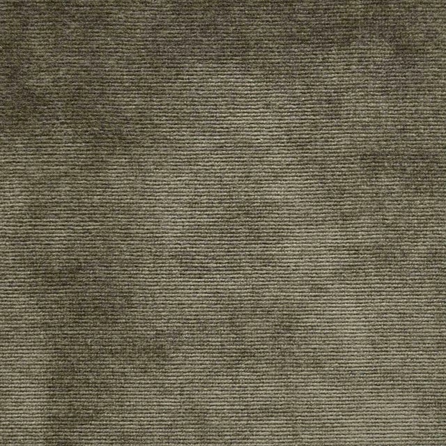 Sanderson Boho Velvets Fabric in Sage - a Sample For Sale