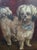 English Moody Antique Oil Painting Portrait of a Norfolk Terrier Dog For Sale - Image 3 of 18