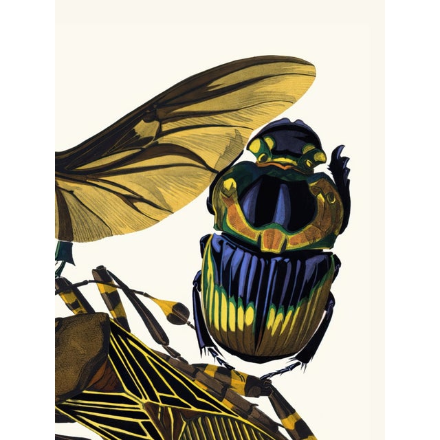 Art Deco Insects Plate 07 by Emile-Allain Séguy, Vintage Art Print Reproduction, 18" × 24" For Sale - Image 3 of 6