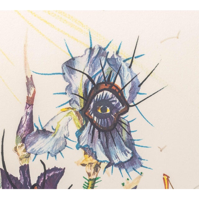 Salvador Dalí Salvador Dali "Iris (Eyes)" Etching, 1972 For Sale - Image 4 of 13