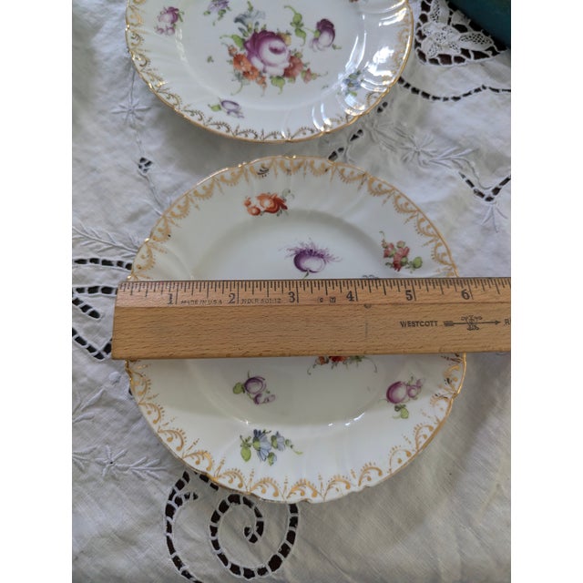 Six Antique Meissen 6" Porcelain Plates With Hand Painted Garden Flowers & Gilt Highlights For Sale - Image 10 of 10