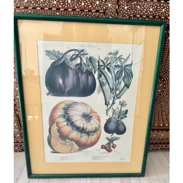 Antique French Vegetables Print For Sale In Miami - Image 6 of 9