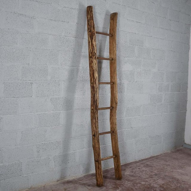 This antique solid-wood ladder is a genuine vintage piece. Characterized by a rustic and slender design, it evokes the...