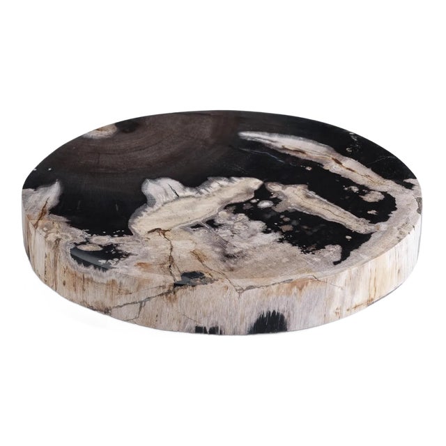 Florenza Petrified Wood Cheese Board For Sale
