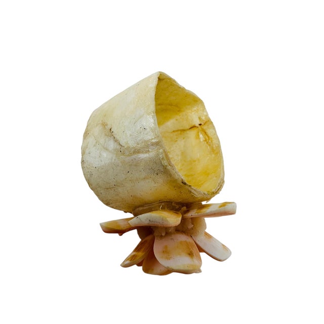 Stunning Vintage Capiz Shell Flower Napkin Rings (Set of 6) For Sale - Image 13 of 13