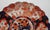 19th Century Japanese Porcelain Imari Chargers, 1980s, Set of 2 For Sale - Image 11 of 18