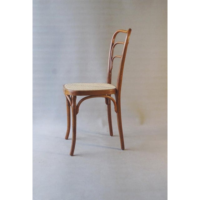 Curved Wooden No. 248 A Chair from J & J Kohn, 1910 For Sale - Image 3 of 11