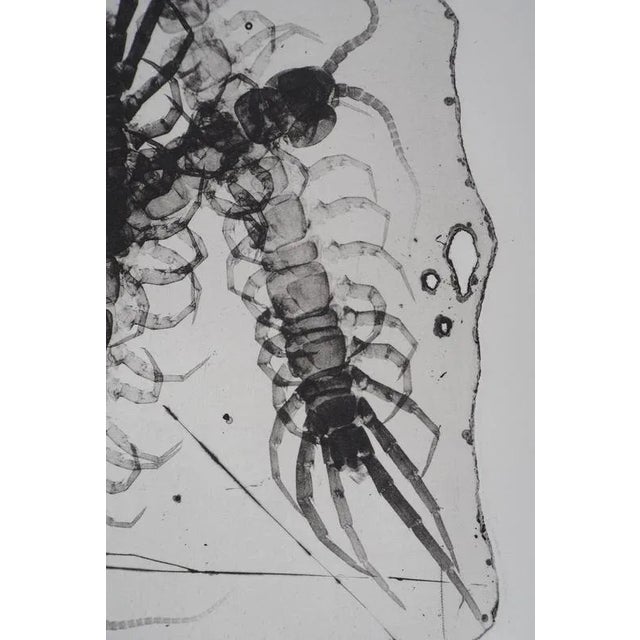 Pierre-Yves Tremois, Plankton, Etching For Sale - Image 6 of 7