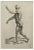 Jean François Poletnich, Anatomy Studies Muscles, Etching, 1755 For Sale