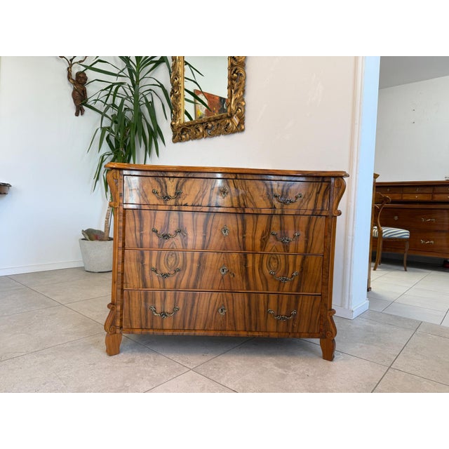 Biedermeier Walnut Veneered Chest of Drawers For Sale - Image 6 of 15