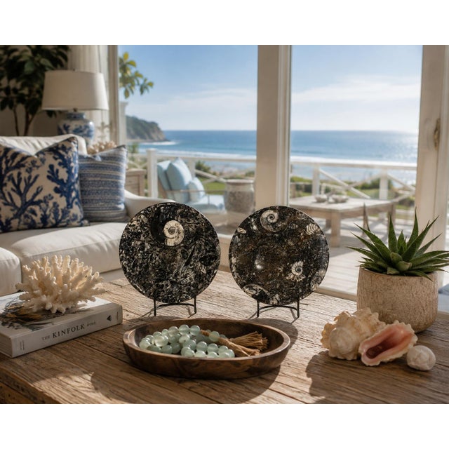 Figurative Pair Ammonite Plates Fossil Millions Years Natural Finely Crafted For Sale - Image 3 of 13