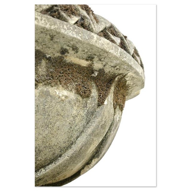 Large Carved Stone Basin For Sale - Image 4 of 7