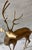Mid-Century Modern Large Vintage Solid Brass Stag For Sale - Image 3 of 8